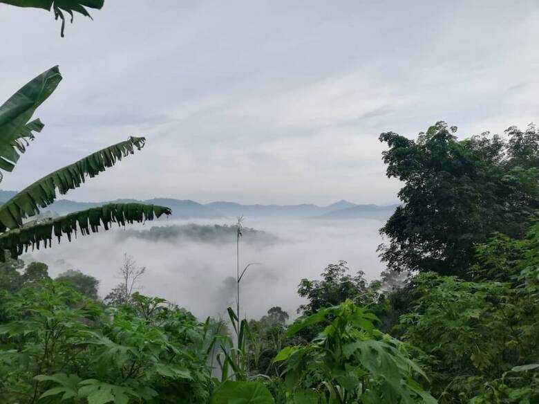 Hotel Hulu Langat Home Stay Eco Farm