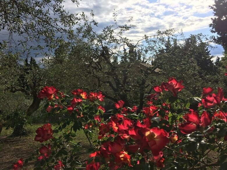 B&B Villino Ada