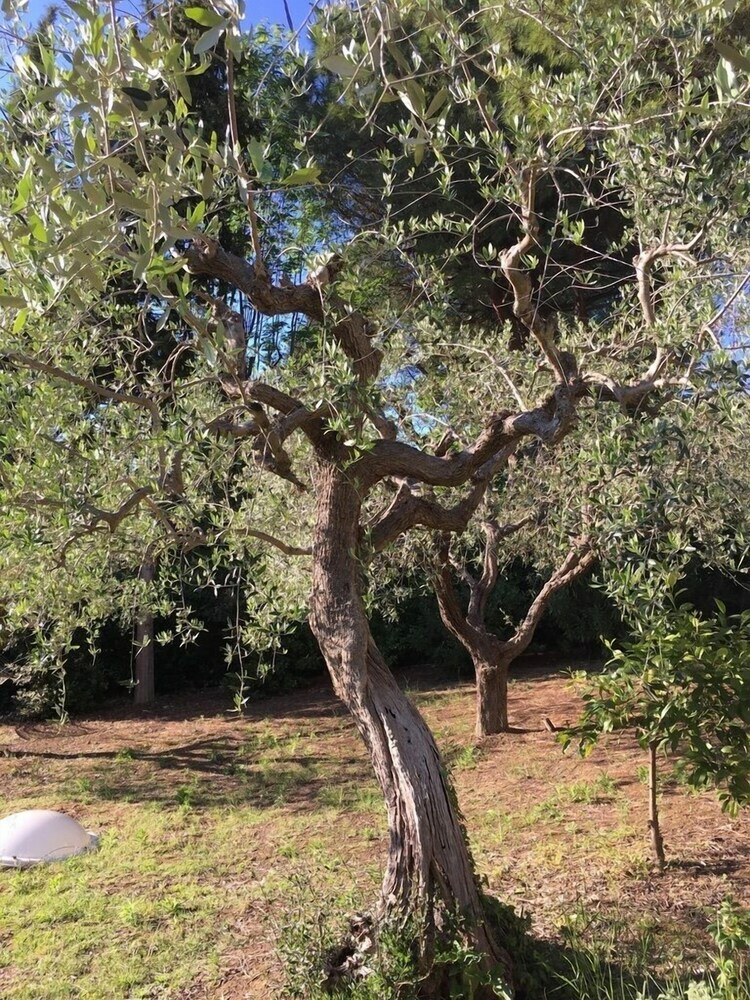 B&B Villino Ada