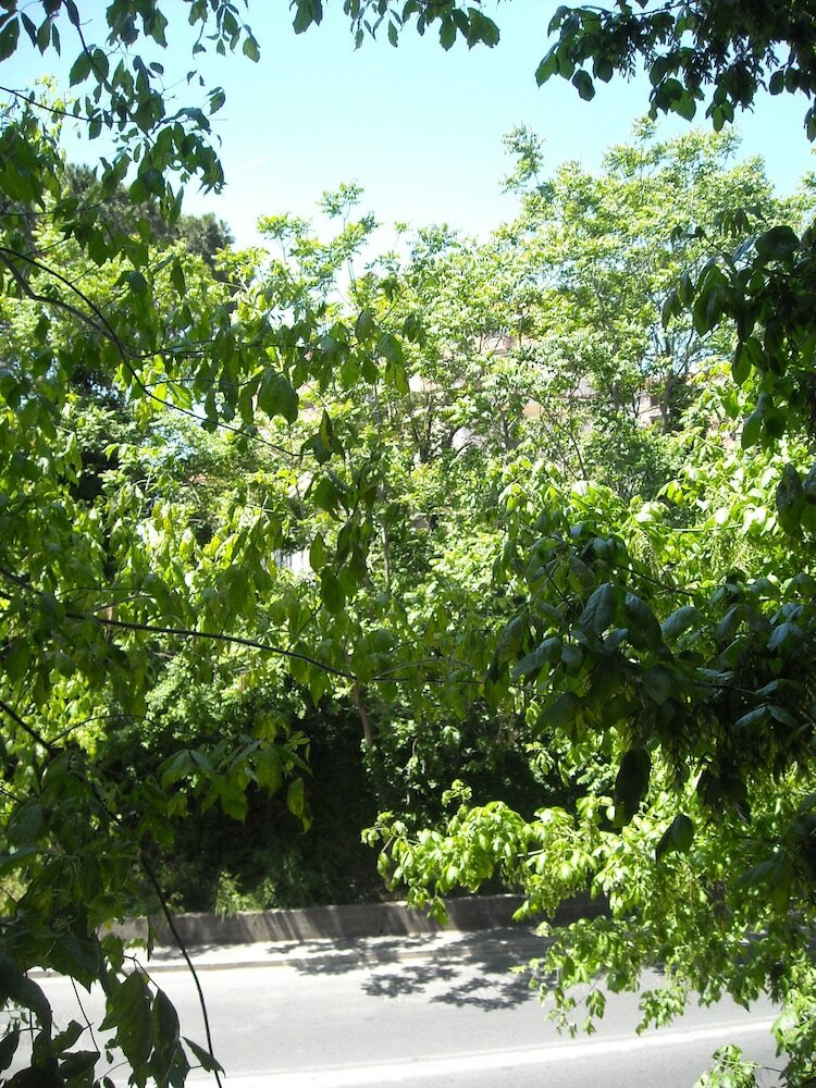 Bed & Breakfast Il Granello Di Senape