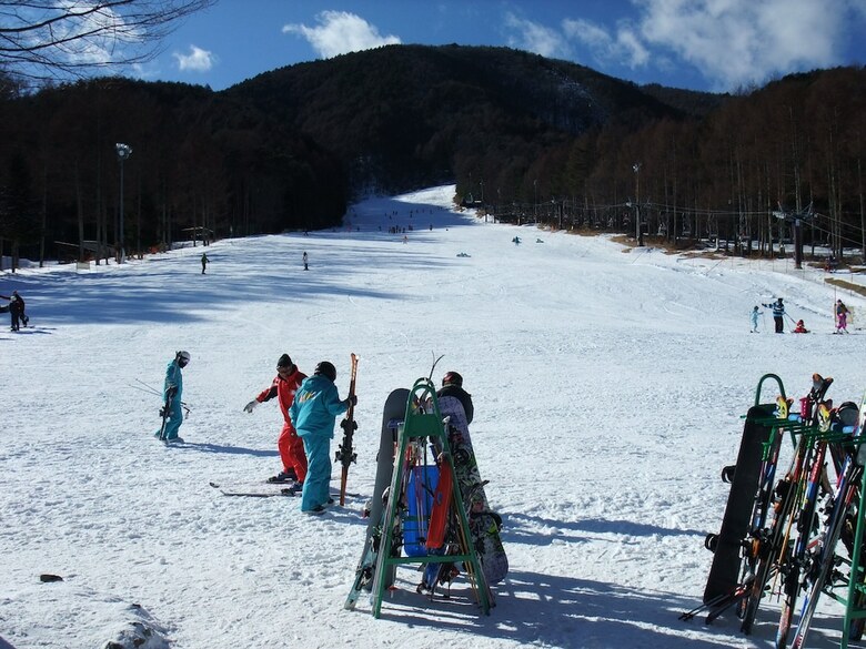 Pension Gasthof Ascot