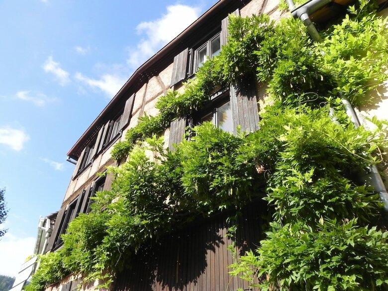 Appartement Le Nid de Cigognes