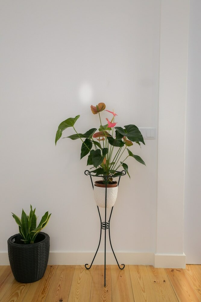 Beato Premium Charming Apartment