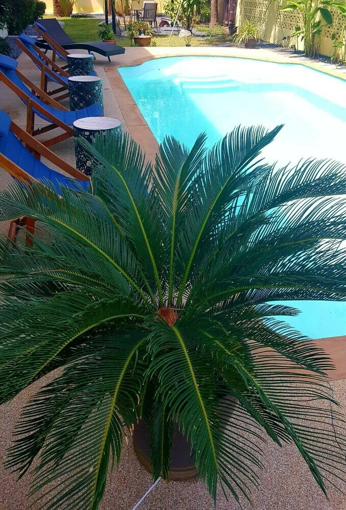 Hotel Sun Garden Rawai