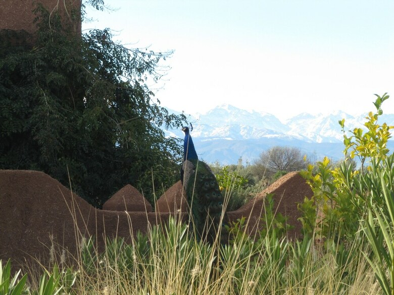 Hotel Quaryati Ecolodge Marrakech
