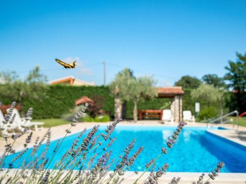 Holiday Home Tommy
