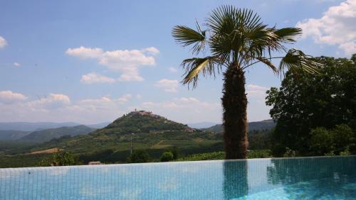 Le Grand Cru Villa