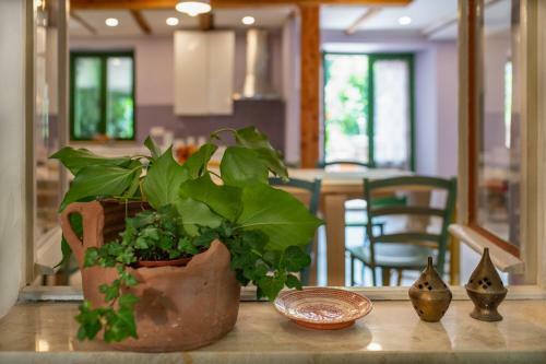 Villa Holiday Home Ladonja