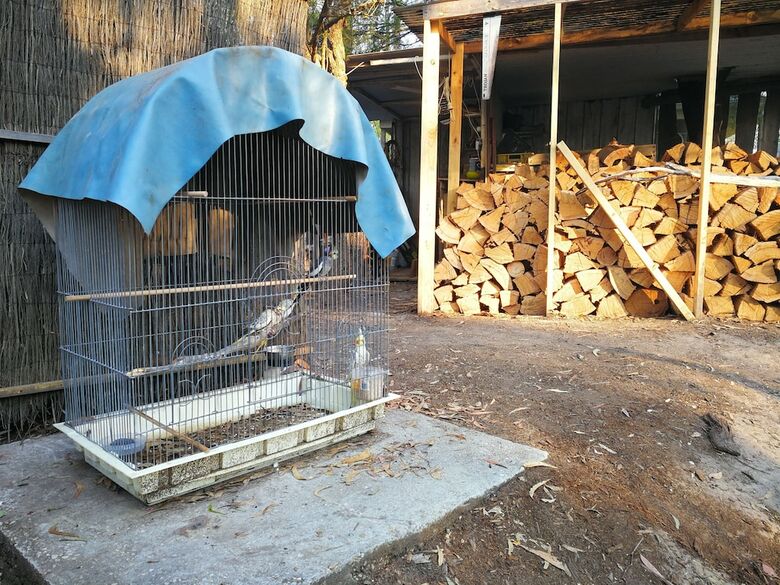 Kalimna Woods Cottages