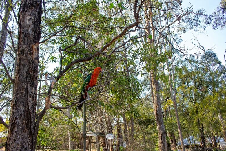 Kalimna Woods Cottages