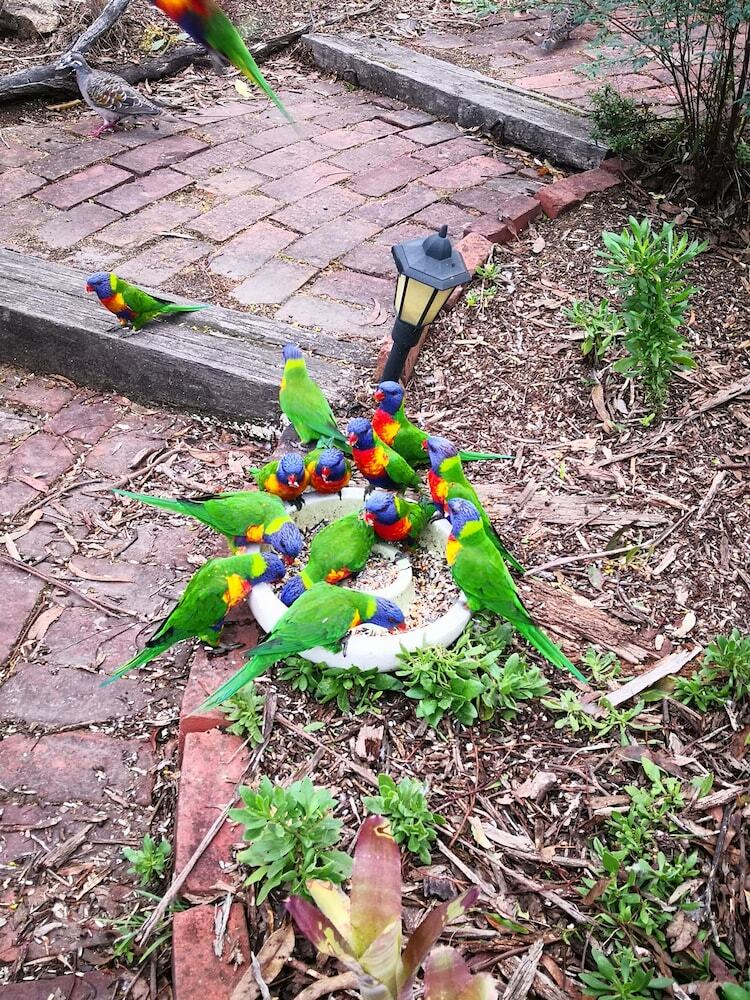 Kalimna Woods Cottages