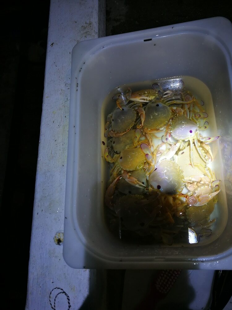 Kalimna Woods Cottages