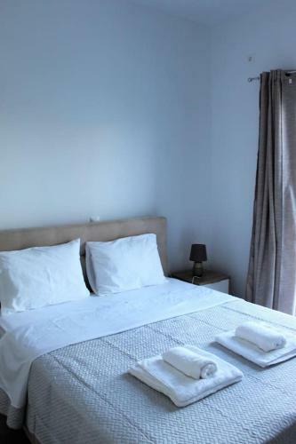 Apartamentos Papillon