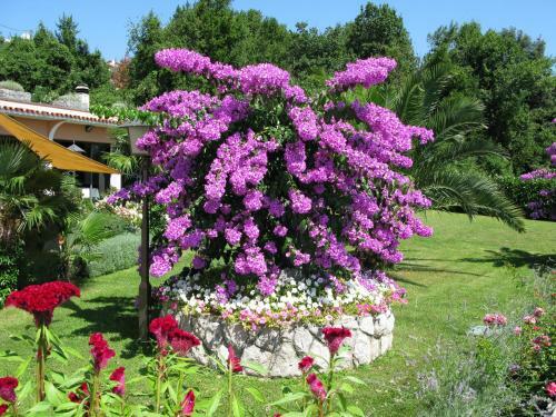Bed And Breakfast Villa Iris