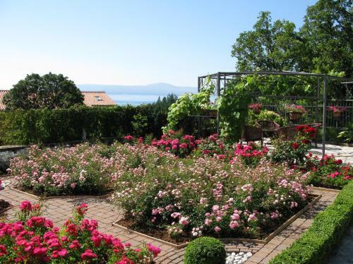 Bed And Breakfast Villa Iris