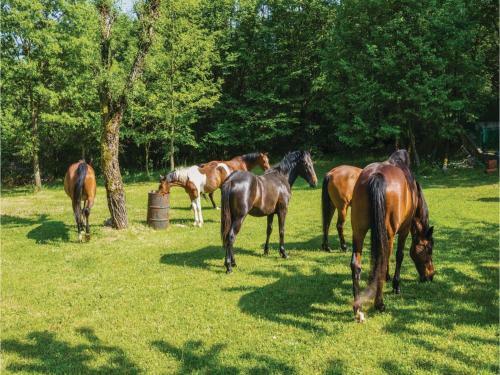 Holiday Home Moscenicka Draga Grabrova
