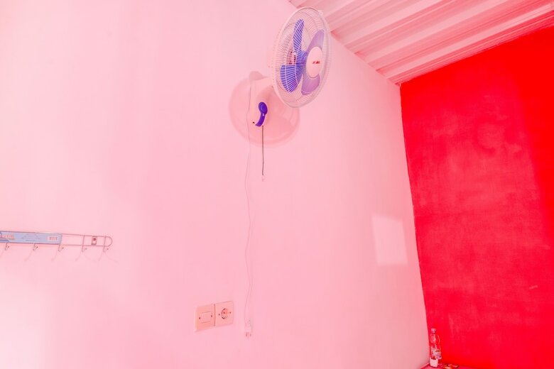 Hotel Pinky Guest House