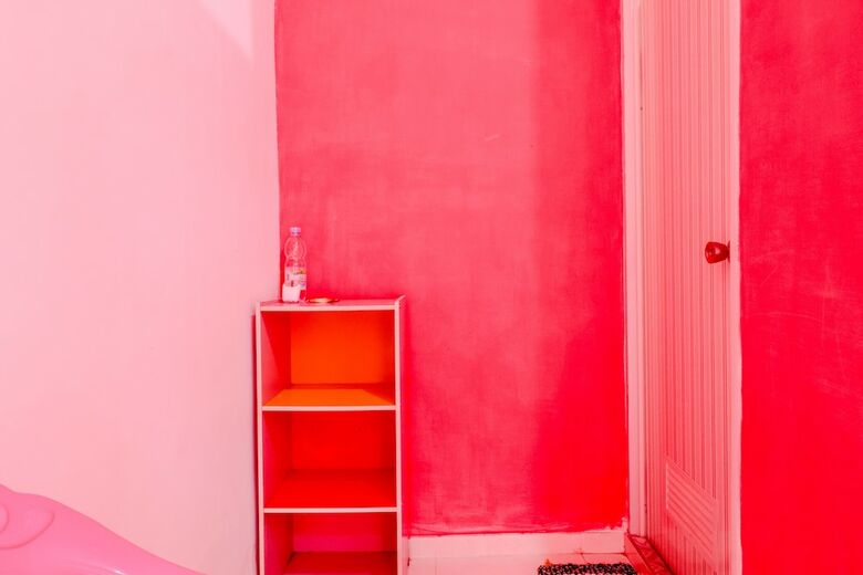 Hotel Pinky Guest House