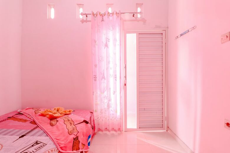 Hotel Pinky Guest House