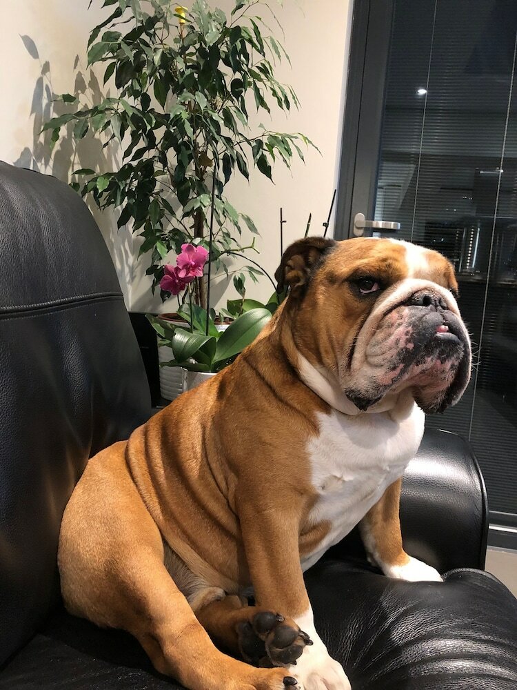 Bed & Breakfast Luxury Rooms With Private Bathrooms