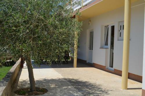 Apartments Ivana