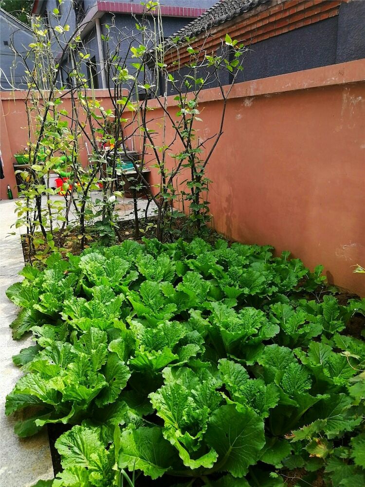 Hotel Mutianyu Shanshe Homestay