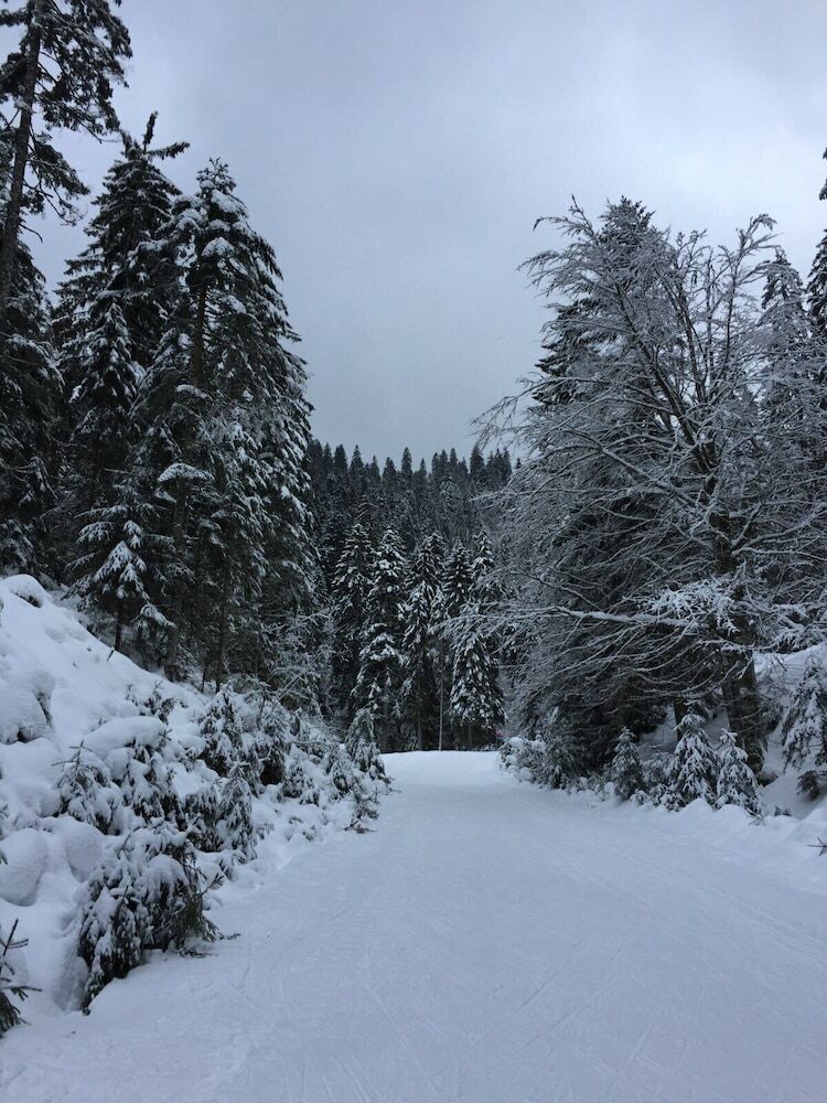 Apartamento Appartement Chalet Les Marmots