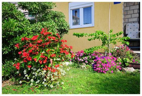 Apartments Renjak