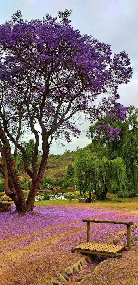 Natal Spa Hot Springs Self Catering