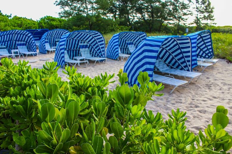 Hotel Sand Dune Shores, A Vri Resort