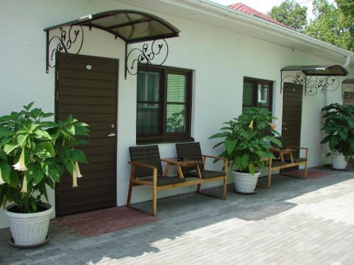 Hostal Green Villa