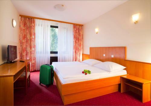 Terme Topolsica - Hotel Vesna