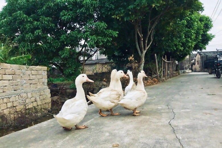 Posada Chaozhou Shifeng Yingbin Inn