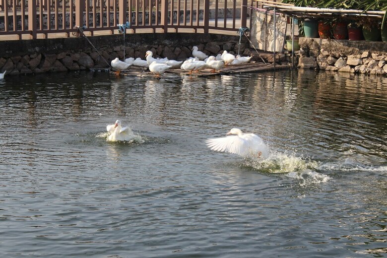 Posada Chaozhou Shifeng Yingbin Inn