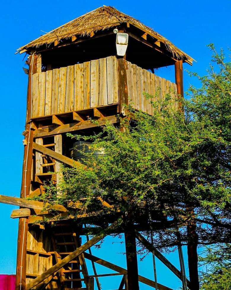 Posada Teen Ranch Camp