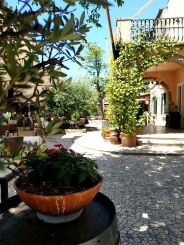 Hostal Villa Andor