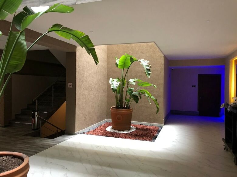 Hotel Plaza Arteaga