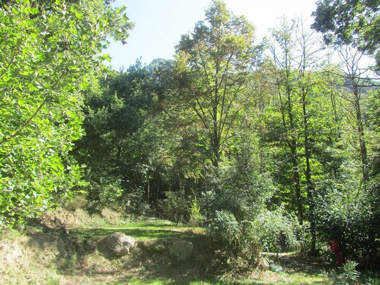 Camping Domaine Saint Martin