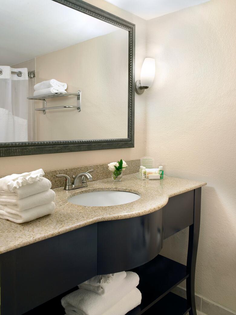 Hotel Holiday Inn Miami Beach