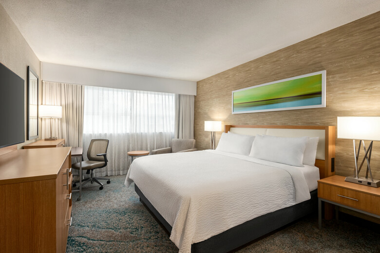 Hotel Holiday Inn Miami Beach