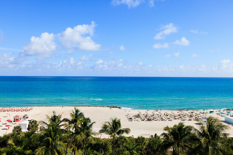 Hotel Riu Plaza Miami Beach
