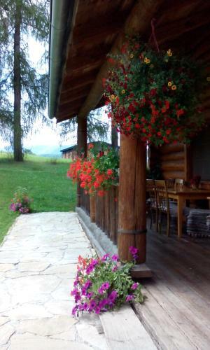 Hostal Penzion-ranc U Trapera