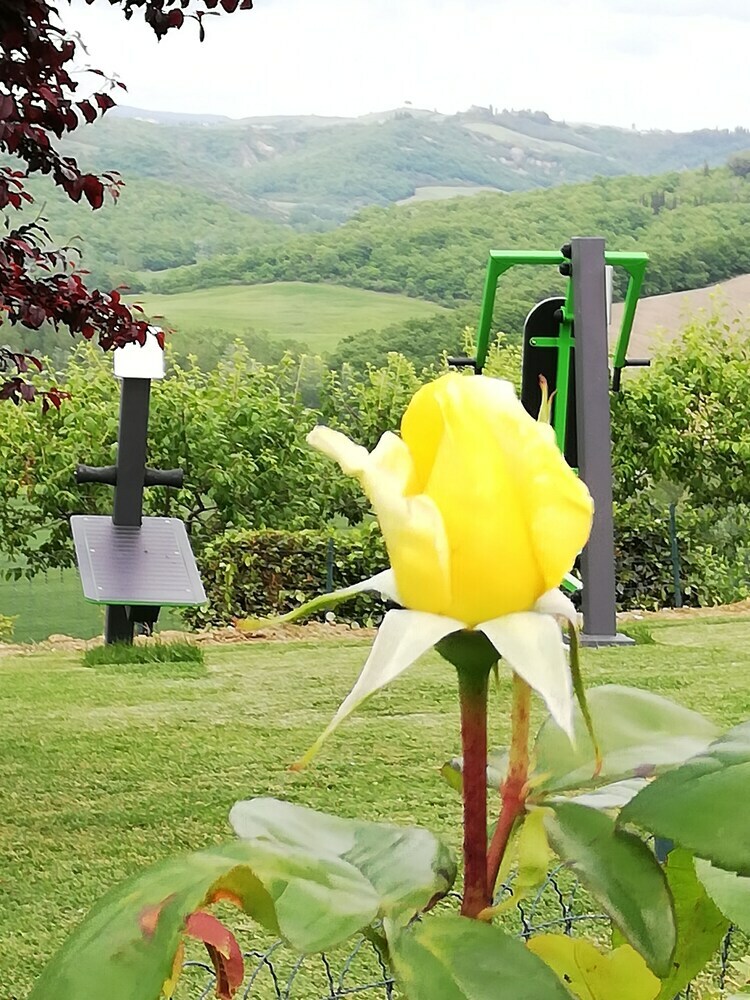 Agroturismo San Lorenzo Agriturismo