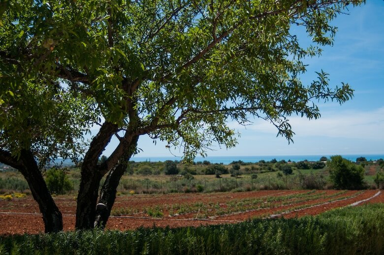 Bed & Breakfast Relais Casina Miregia