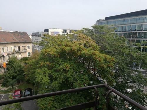 Apartman Maximilian
