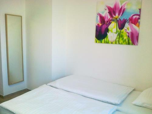 Hostal Terasa - Lacne Ubytovanie