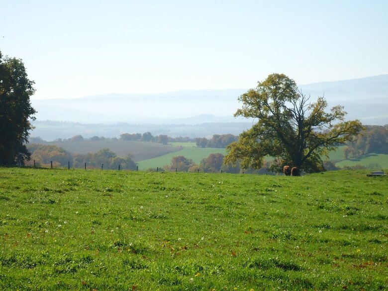 Camping Des Prairies D' Auvergne