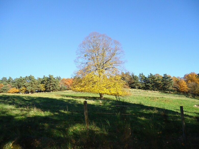 Camping Des Prairies D' Auvergne