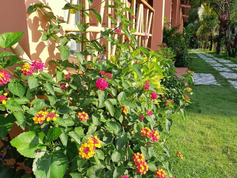 Apartamentos An An Boutique Homestay