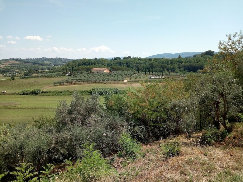 Agroturismo I Girasoli Di Lari